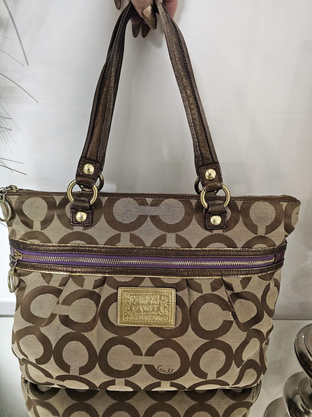 Coach Signature Canvas Tote Bag in Brown